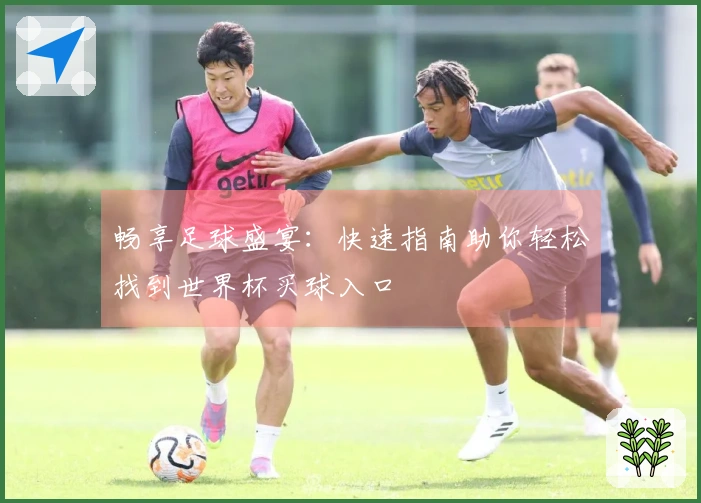 畅享足球盛宴：快速指南助你轻松找到世界杯买球入口
