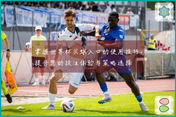 掌握世界杯买球入口的使用技巧，提升您的投注体验与策略选择