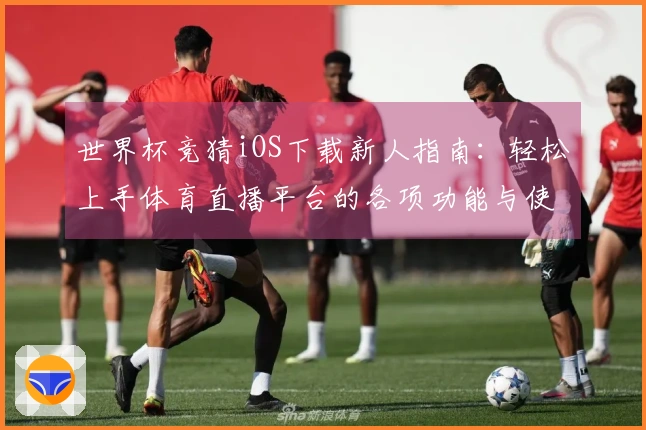 世界杯竞猜iOS下载新人指南：轻松上手体育直播平台的各项功能与使用体验