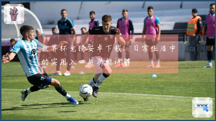 世界杯竞猜安卓下载：日常生活中的实用入口与功能详解