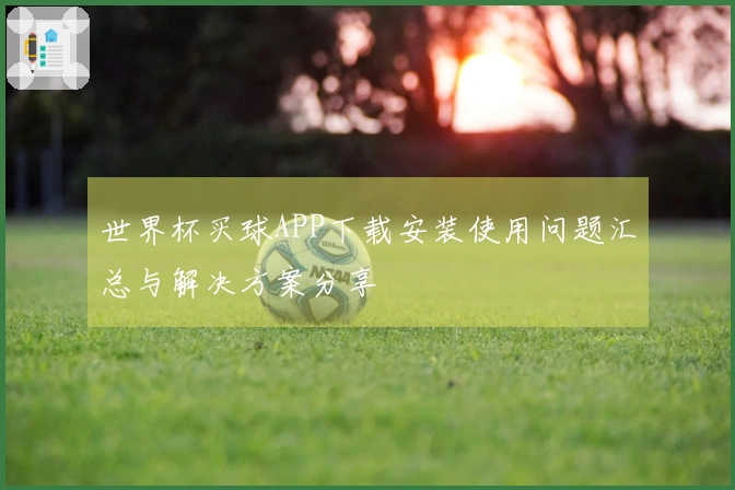 世界杯买球APP下载安装使用问题汇总与解决方案分享