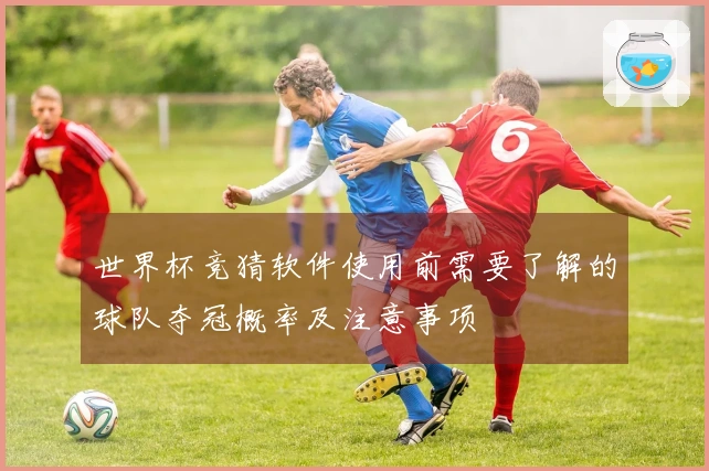 世界杯竞猜软件使用前需要了解的球队夺冠概率及注意事项