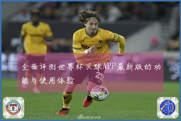 全面评测世界杯买球APP最新版的功能与使用体验