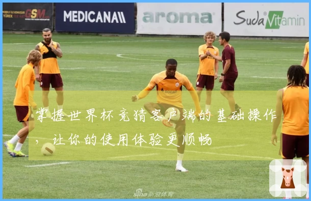 掌握世界杯竞猜客户端的基础操作，让你的使用体验更顺畅