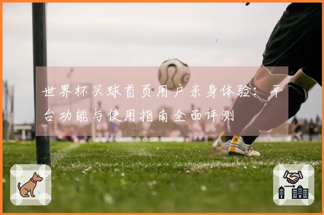 世界杯买球首页用户亲身体验：平台功能与使用指南全面评测