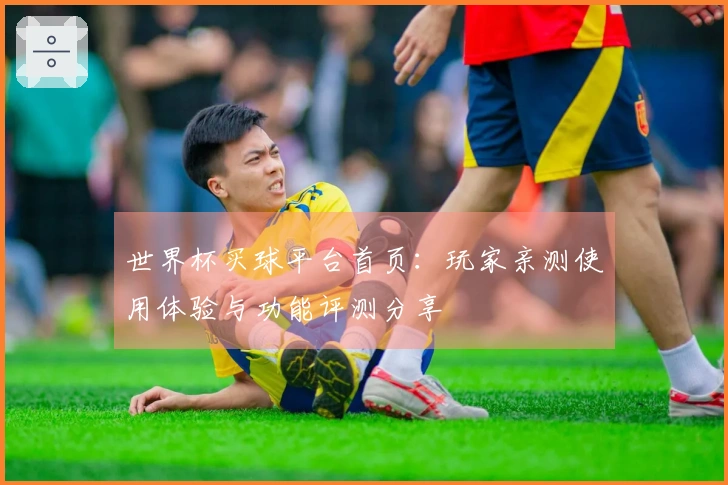 世界杯买球平台首页：玩家亲测使用体验与功能评测分享