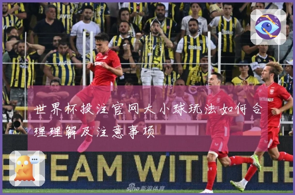 世界杯投注官网大小球玩法如何合理理解及注意事项