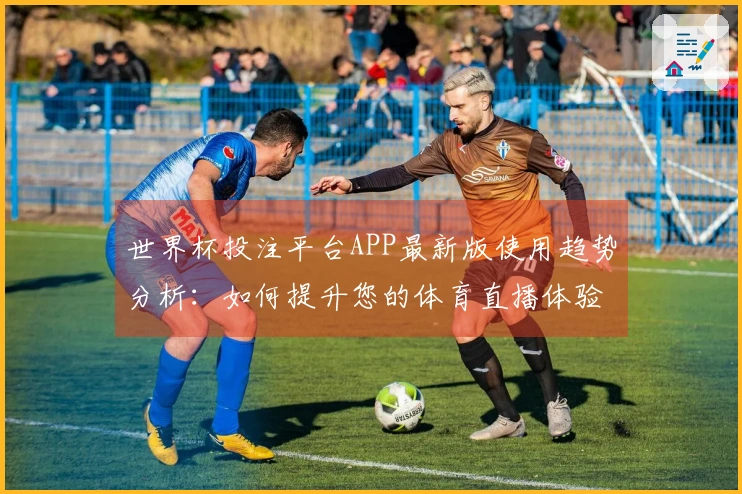 世界杯投注平台APP最新版使用趋势分析：如何提升您的体育直播体验