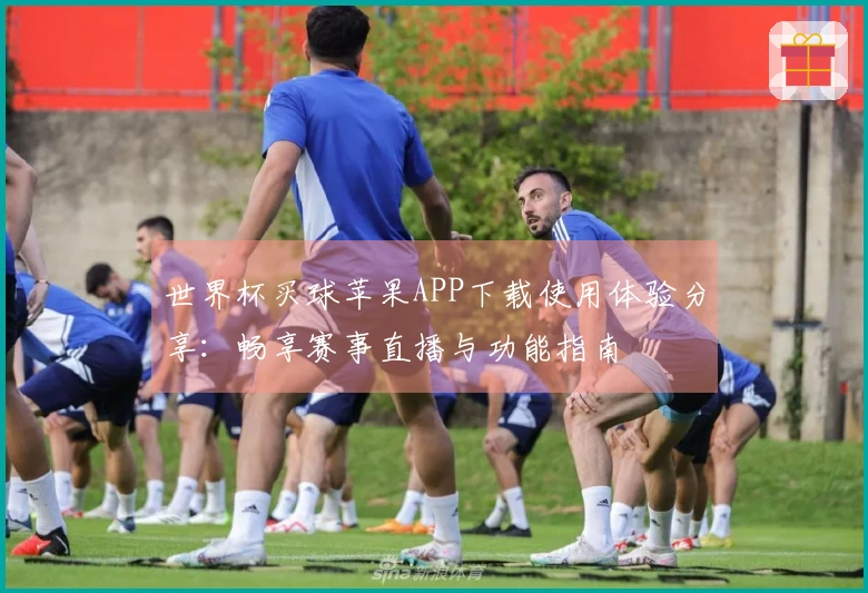 世界杯买球苹果APP下载使用体验分享：畅享赛事直播与功能指南