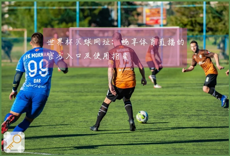 世界杯买球网址：畅享体育直播的官方入口及使用指南