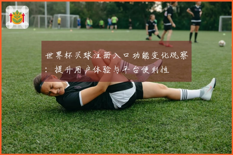 世界杯买球注册入口功能变化观察：提升用户体验与平台便利性