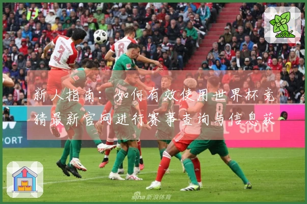新人指南：如何有效使用世界杯竞猜最新官网进行赛事查询与信息获取