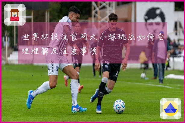 世界杯投注官网大小球玩法如何合理理解及注意事项