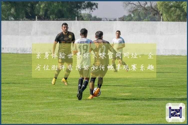 亲身体验世界杯买球官网网址,全方位测评告诉你如何畅享观赛乐趣