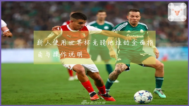新人使用世界杯竞猜地址的全面指南与操作说明