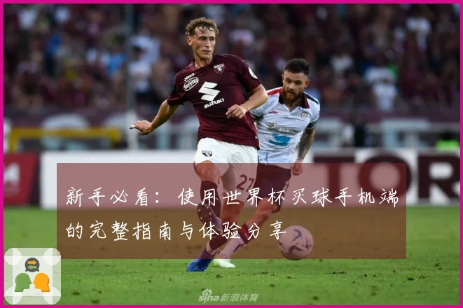 新手必看：使用世界杯买球手机端的完整指南与体验分享