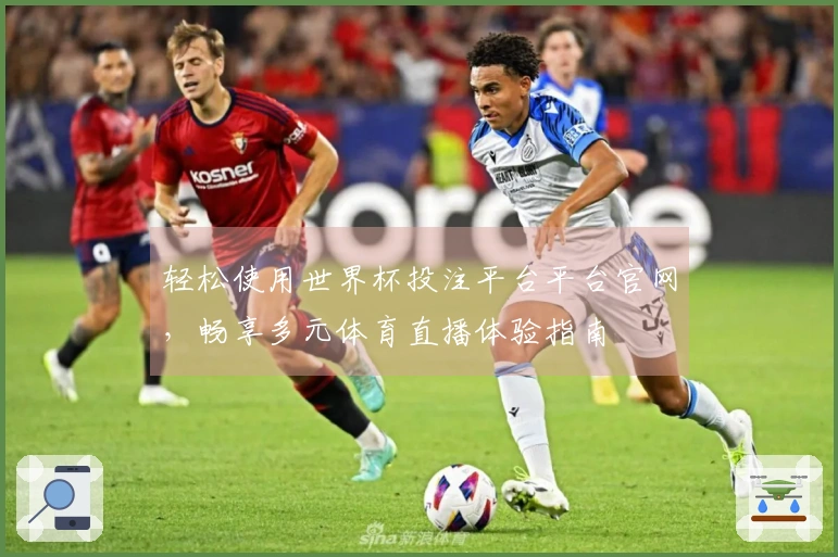轻松使用世界杯投注平台平台官网，畅享多元体育直播体验指南
