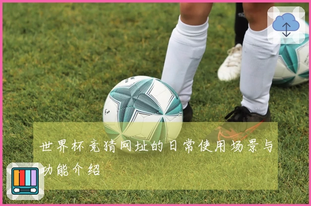 世界杯竞猜网址的日常使用场景与功能介绍