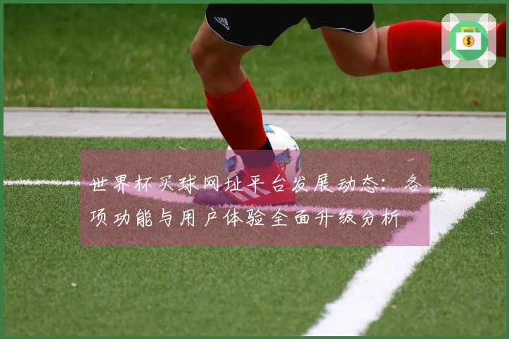世界杯买球网址平台发展动态：各项功能与用户体验全面升级分析